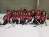 slapshotsdivisionwinnersprospectroadoldtimers_small.jpg