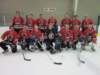 redwings_small.jpg