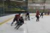 sportsrock23_small.jpg