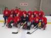 t seniors redwings tseniorsredwings_small.jpg