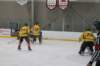 img_4224_small.jpg