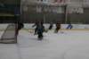 img_4379_small.jpg