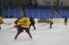 img_4450_small.jpg