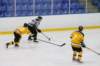 img_6783_small.jpg