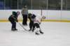 img_6714_small.jpg