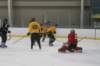 img_8536_small.jpg
