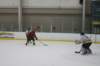 img_8495_small.jpg