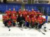 35 SilverFox 1 Phoenix silverfox1phoenix_small.jpg