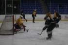 Slapshot division slapshotdivision_small.jpg