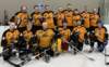 monctondartclubdivwinnersstingers_small.jpg