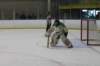 Fundy Bearing Div Action 1 fundybearingdivaction1_small.jpg