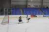 Silver Fox Div Antigonish OldDogs Action 1 silverfoxdivantigonisholddogsaction1_small.jpg