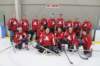 Thomac Services BigDogs Team 1 thomacservicesbigdogsteam1_small.jpg