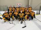 dartclubstingers_small.jpg