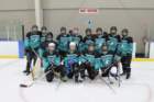slapshotcobrasimg_1547_small.jpg
